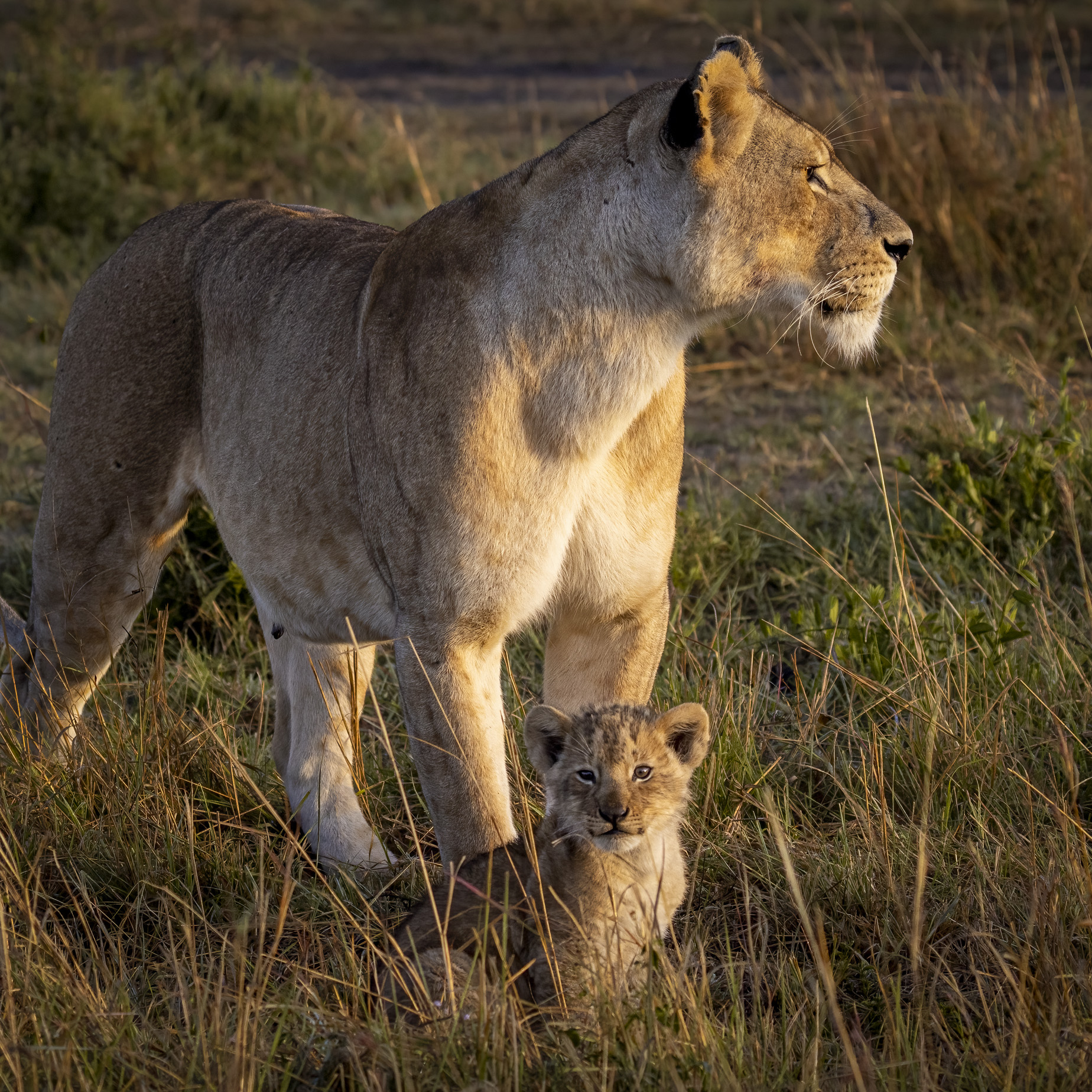 November 11, 2022-063152-2-Edit.jpg